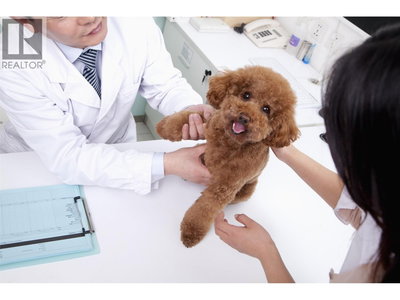 Businesses for Sale in British-columbia