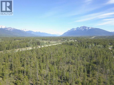 1105 5 Highway | Valemount British Columbia | Slide Image Two