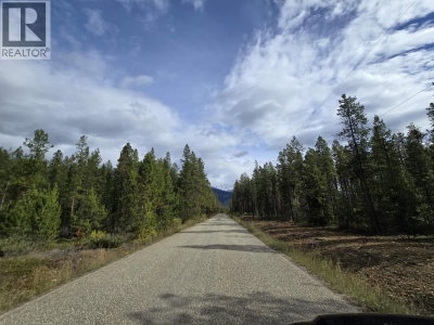 2350 BAILEY Road | Valemount British Columbia | Slide Image Two
