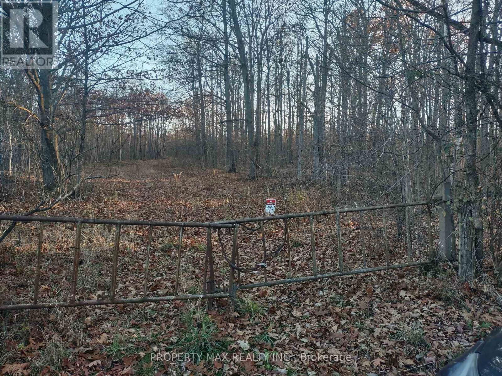 Primary Property View