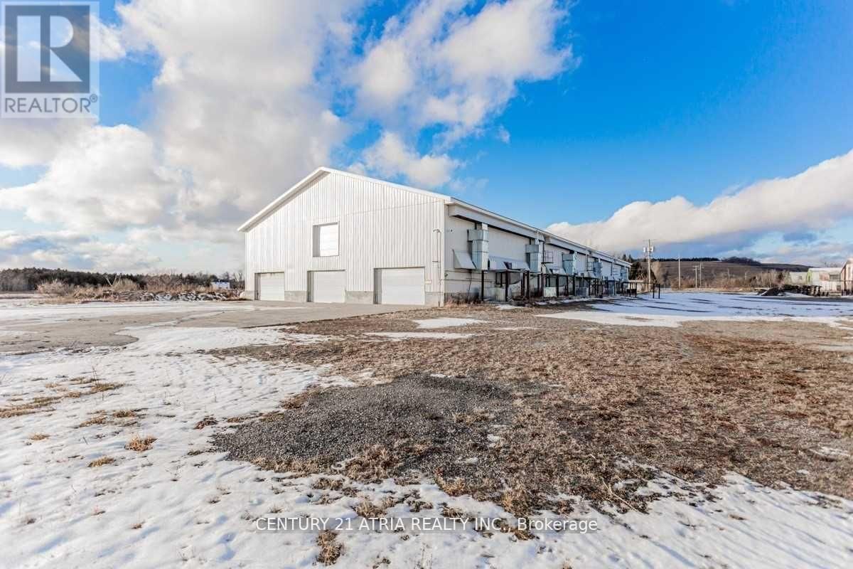 3897 CONCESSION RD  4 Image 9