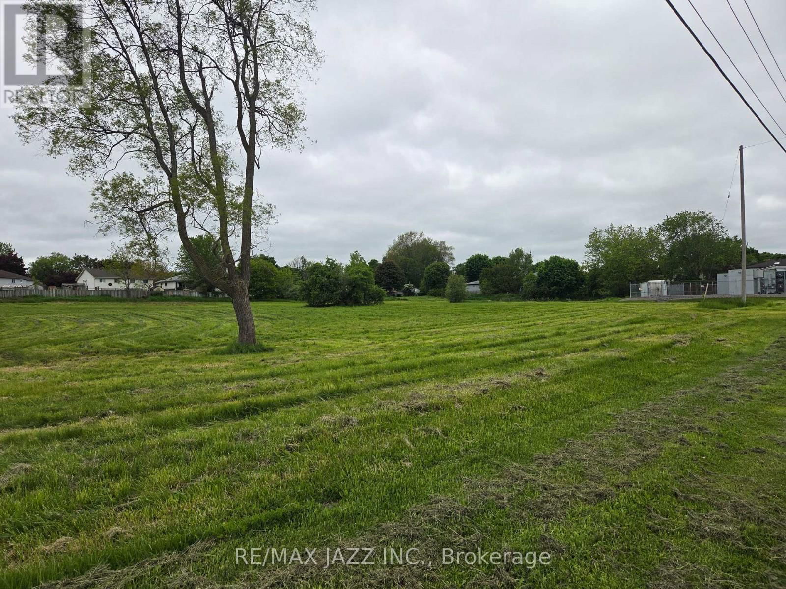 Primary Property View