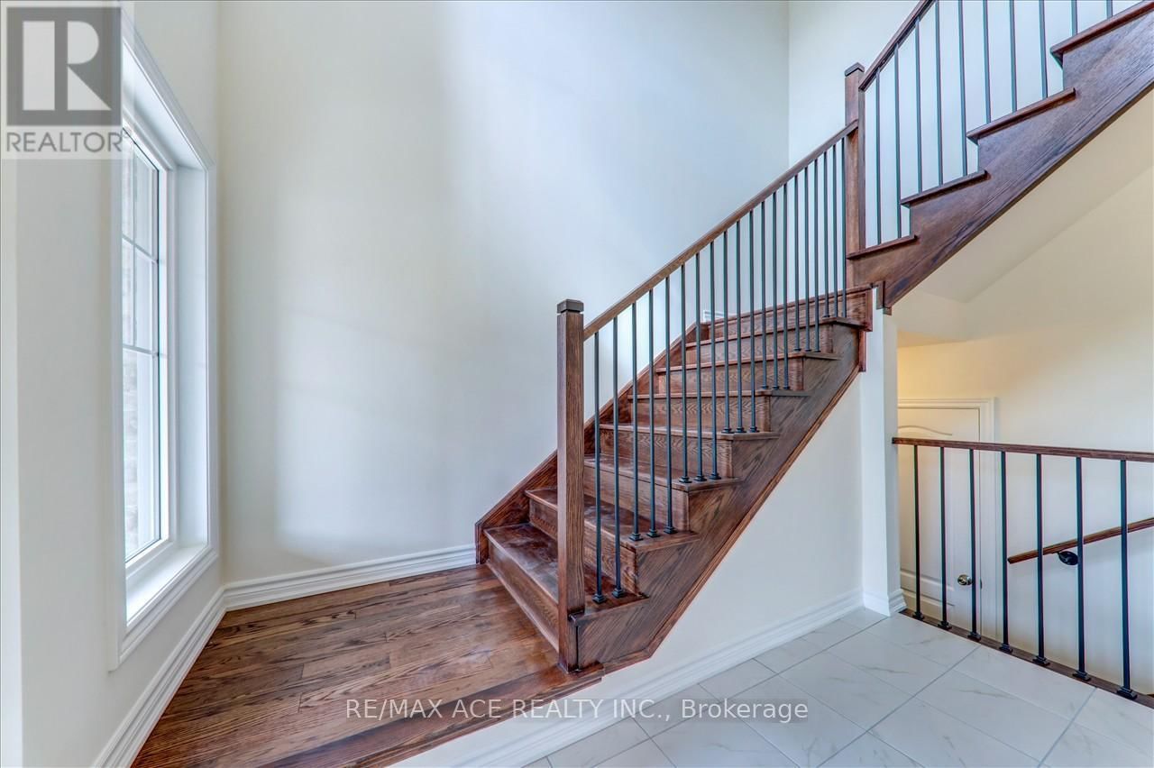 55 ROBIN TRAIL Image 19