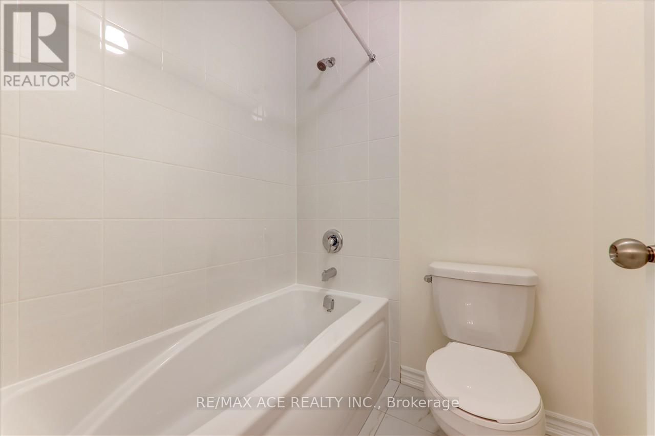 55 ROBIN TRAIL Image 33