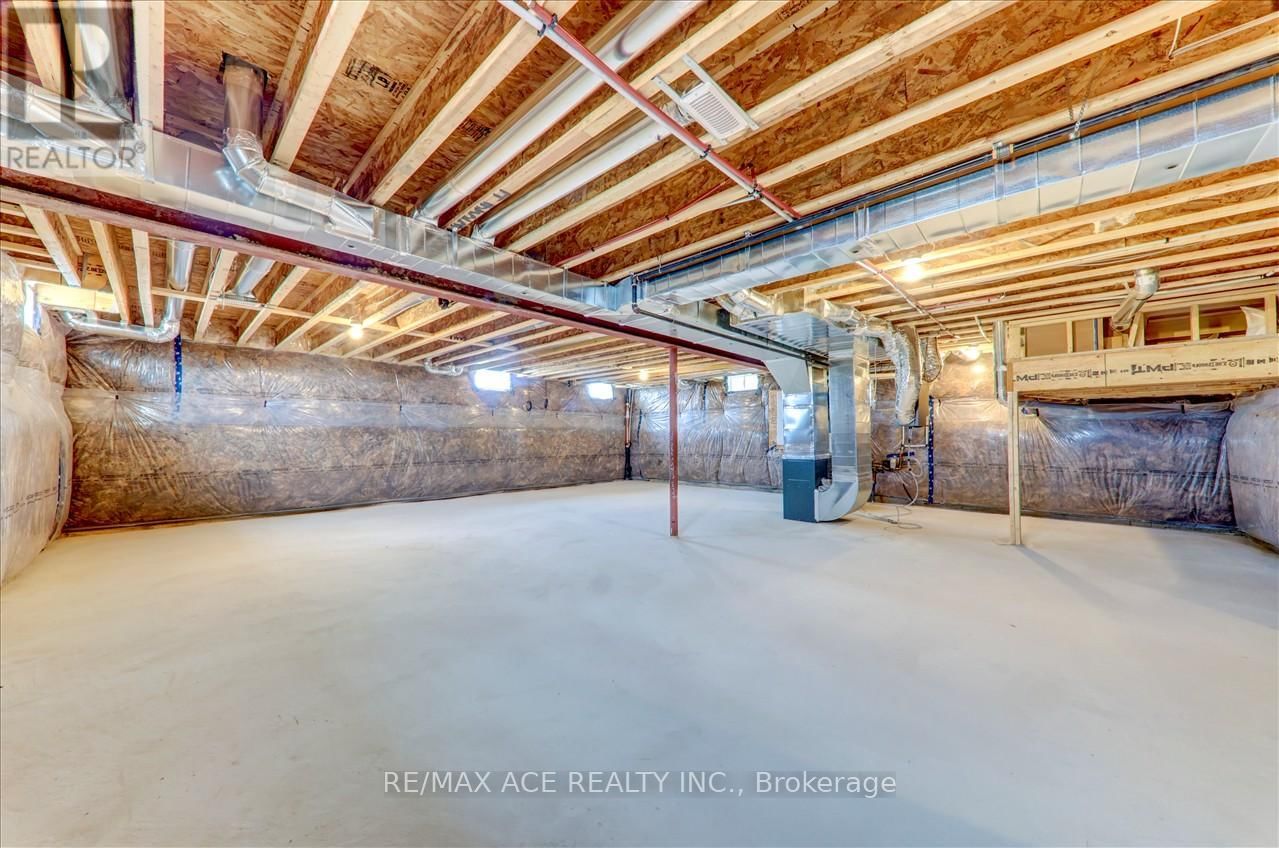 55 ROBIN TRAIL Image 37