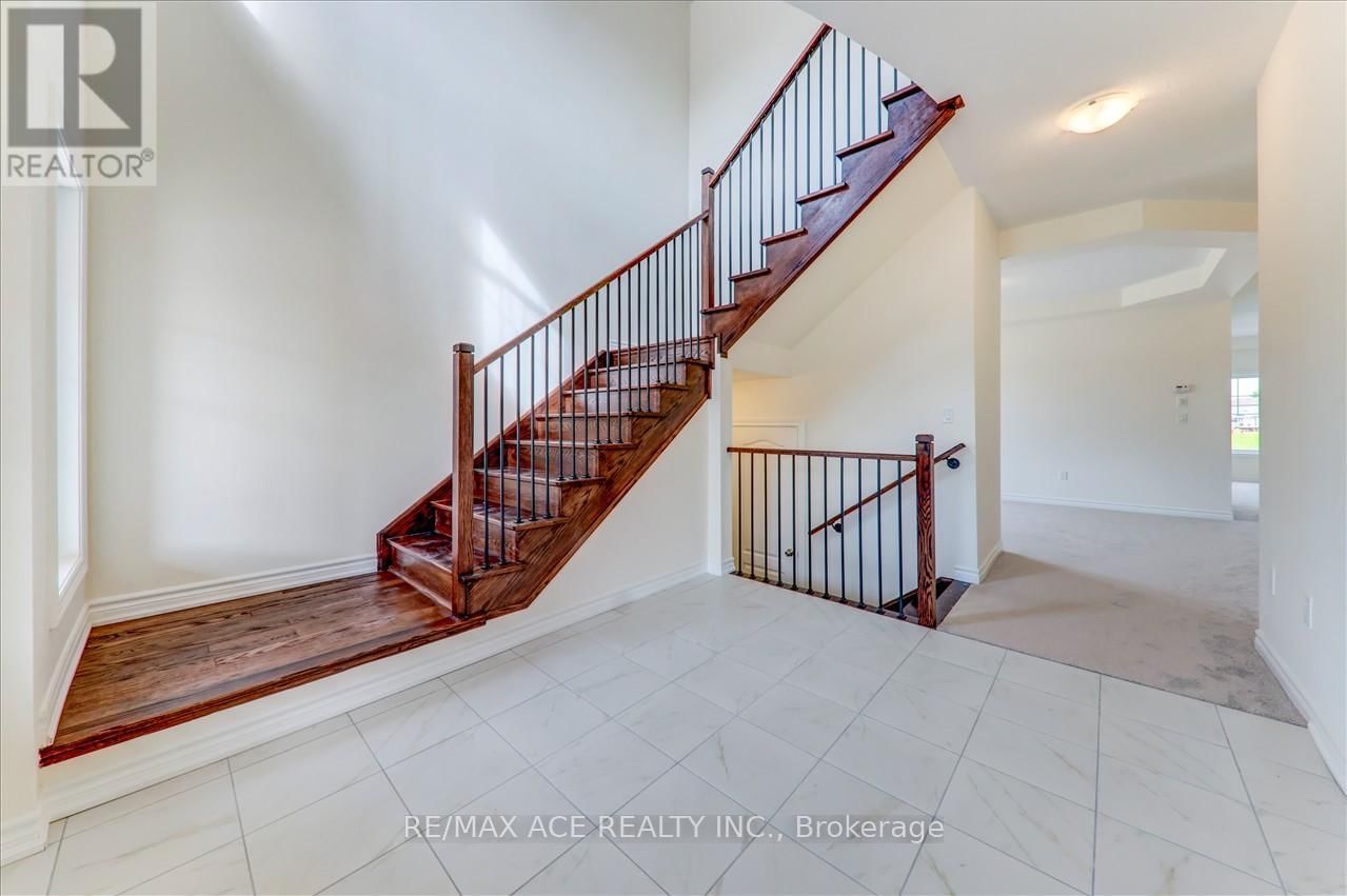 55 ROBIN TRAIL Image 6