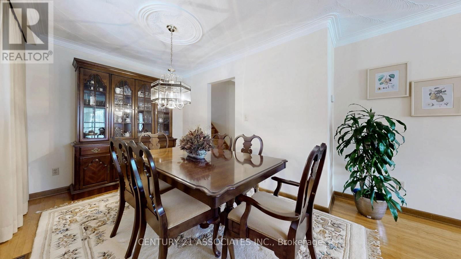 1217 ALEXANDRA AVENUE Image 13