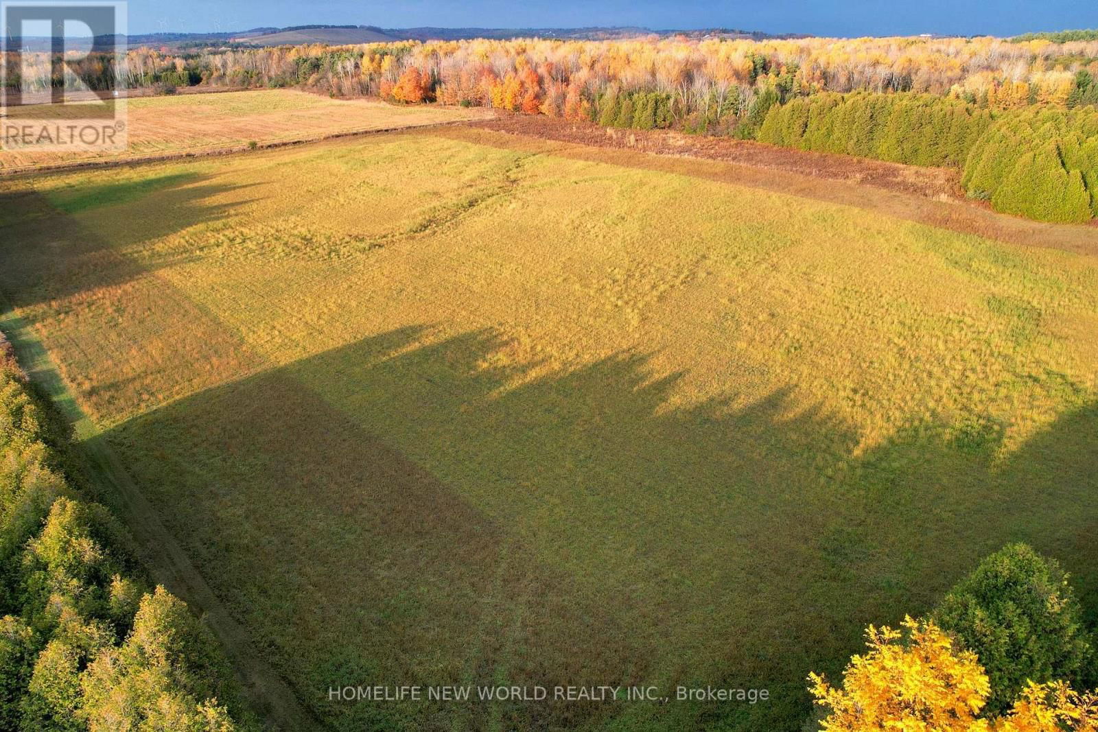3025 MOFFAT ROAD Image 4