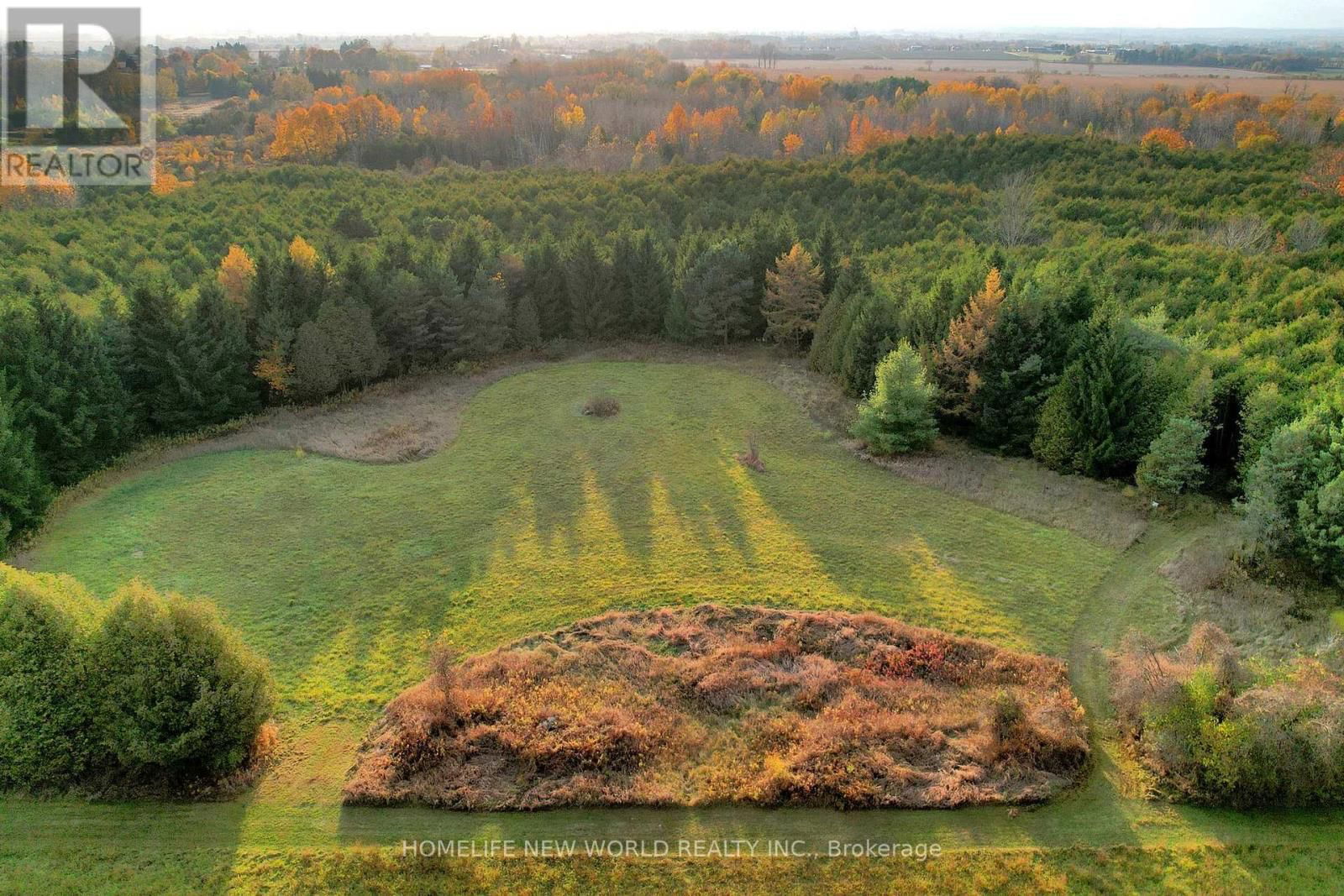 3025 MOFFAT ROAD Image 5