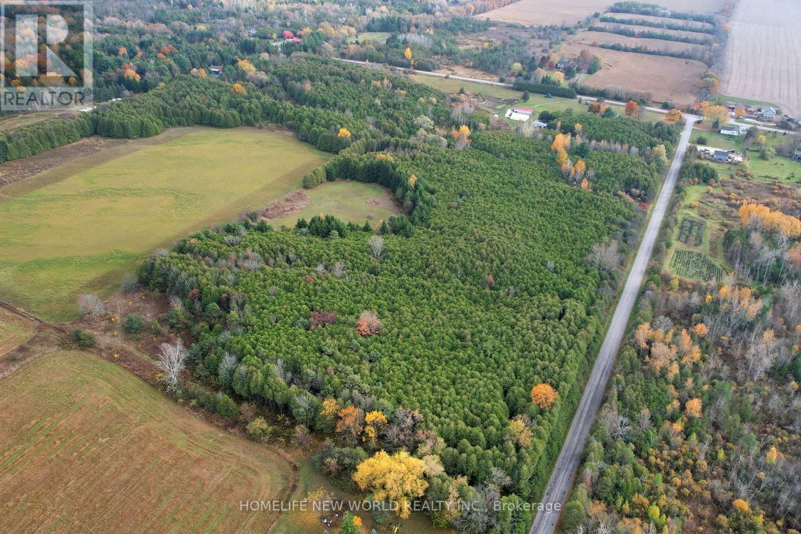 3025 MOFFAT ROAD Image 6