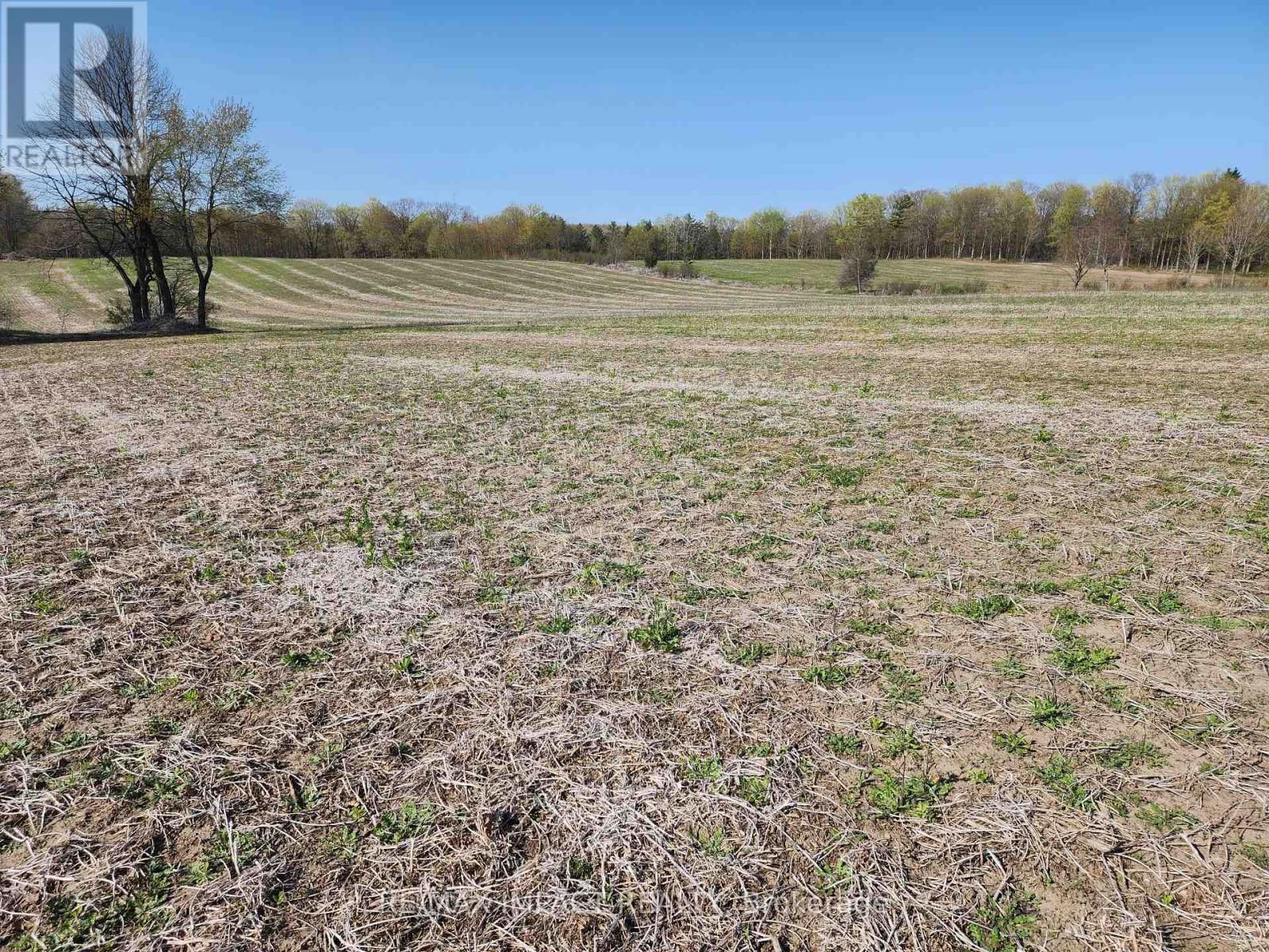 3488 SKELDING ROAD Image 7
