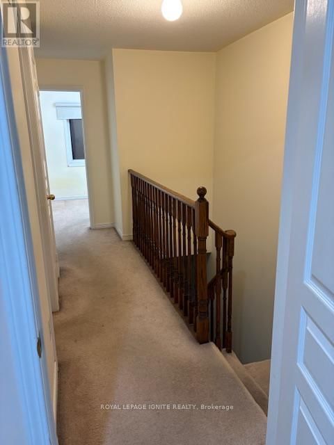 11 CURRAN HALL CRESCENT Image 13