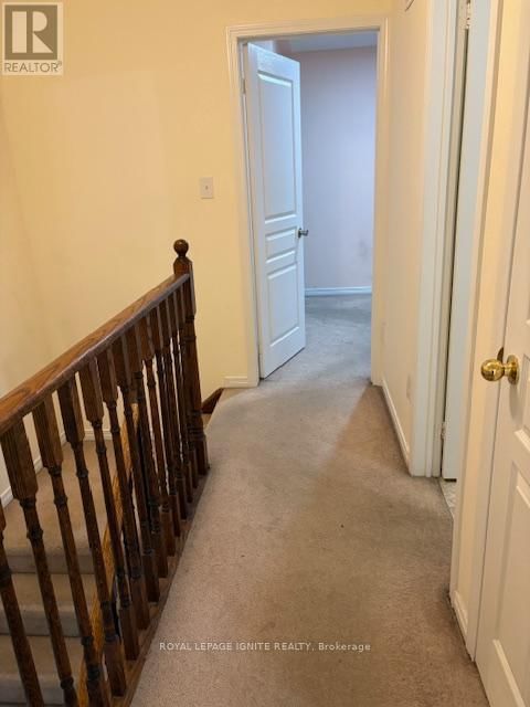 11 CURRAN HALL CRESCENT Image 21