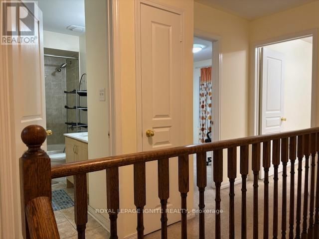 11 CURRAN HALL CRESCENT Image 25