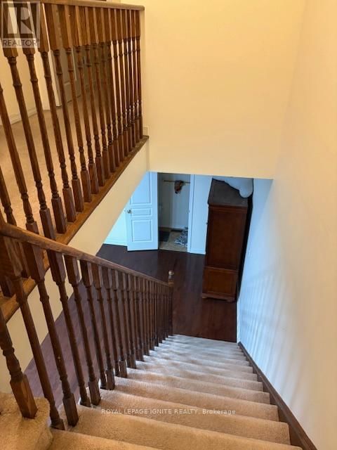 11 CURRAN HALL CRESCENT Image 35