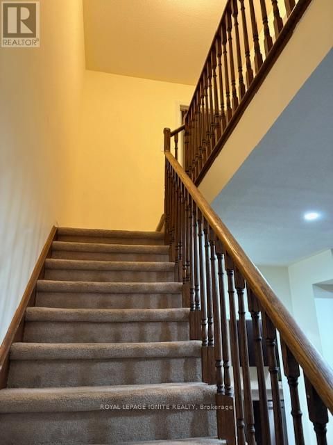 11 CURRAN HALL CRESCENT Image 36