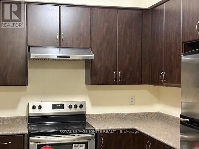 11 CURRAN HALL CRESCENT Image 48