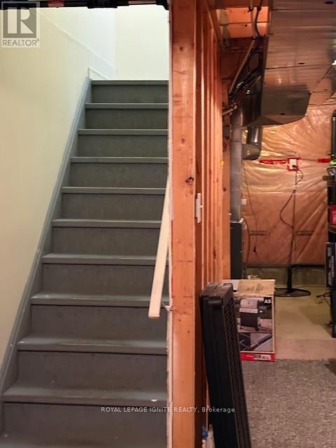 11 CURRAN HALL CRESCENT Image 8