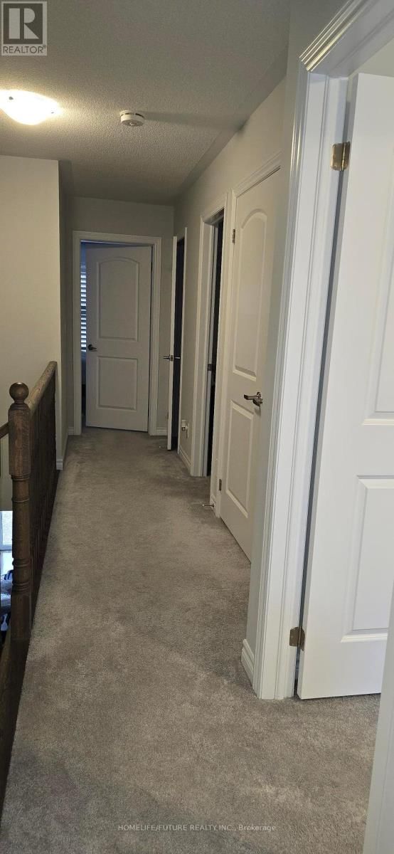 41 SUTCLIFFE DRIVE Image 6