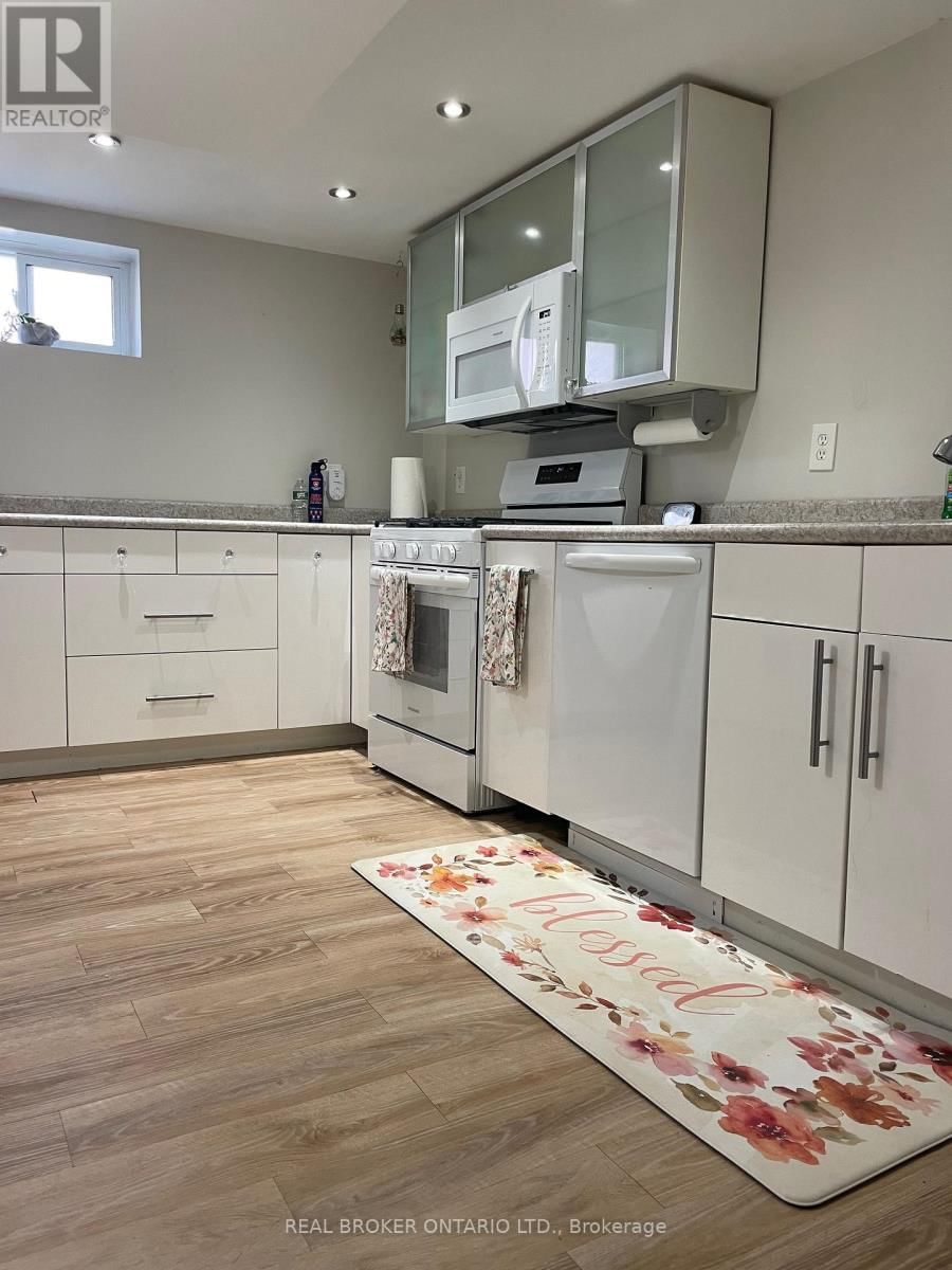 Lower - 13 ORCHARDVIEW BOULEVARD Image 8