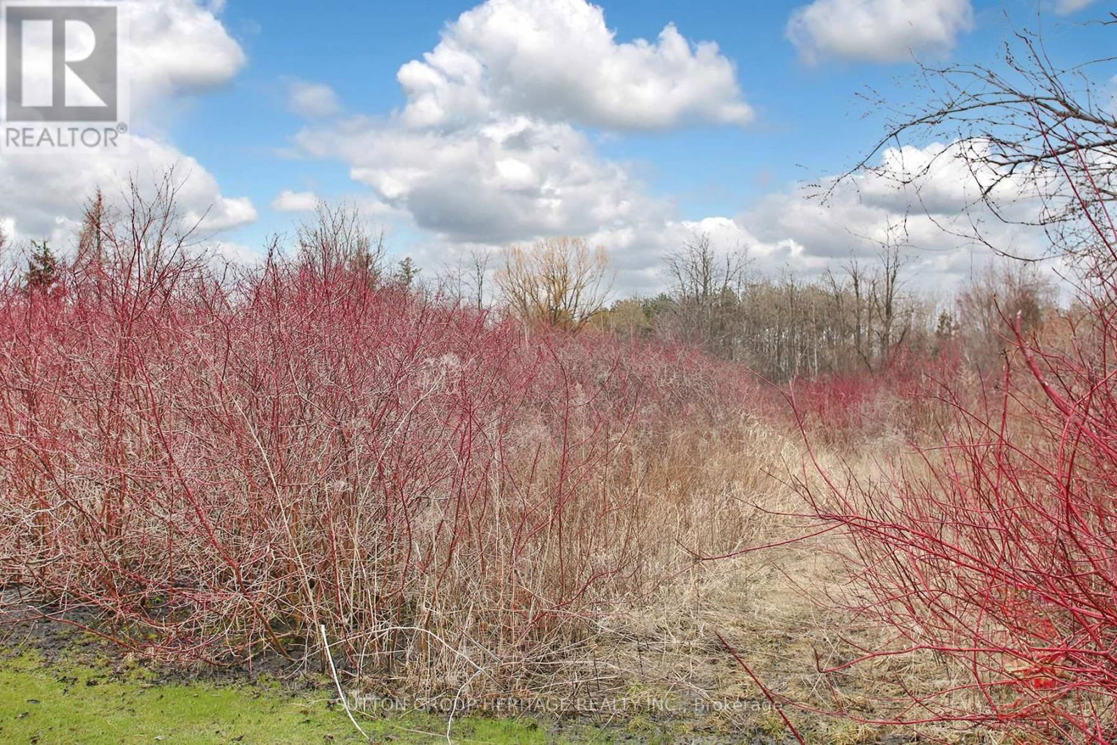 2890 SOLINA ROAD Image 33