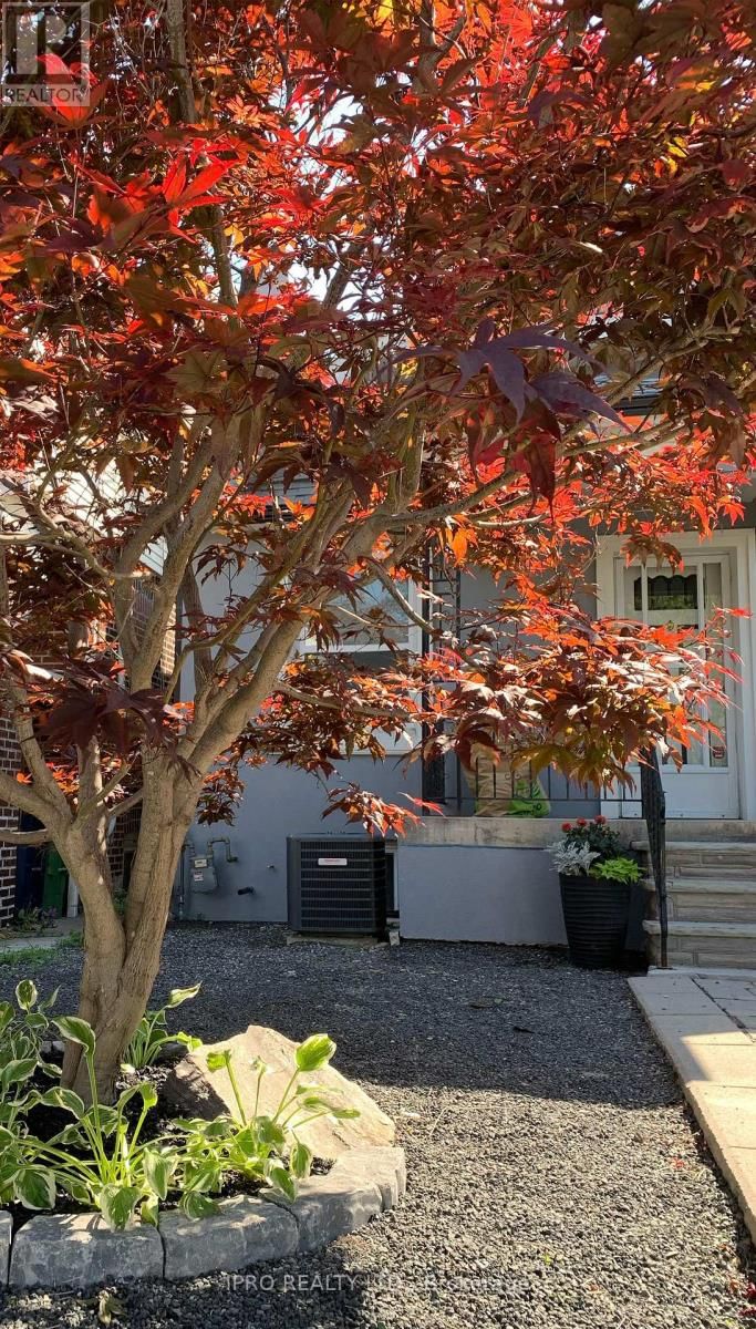 5 THYRA AVENUE Image 34
