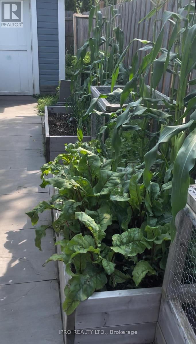 5 THYRA AVENUE Image 37