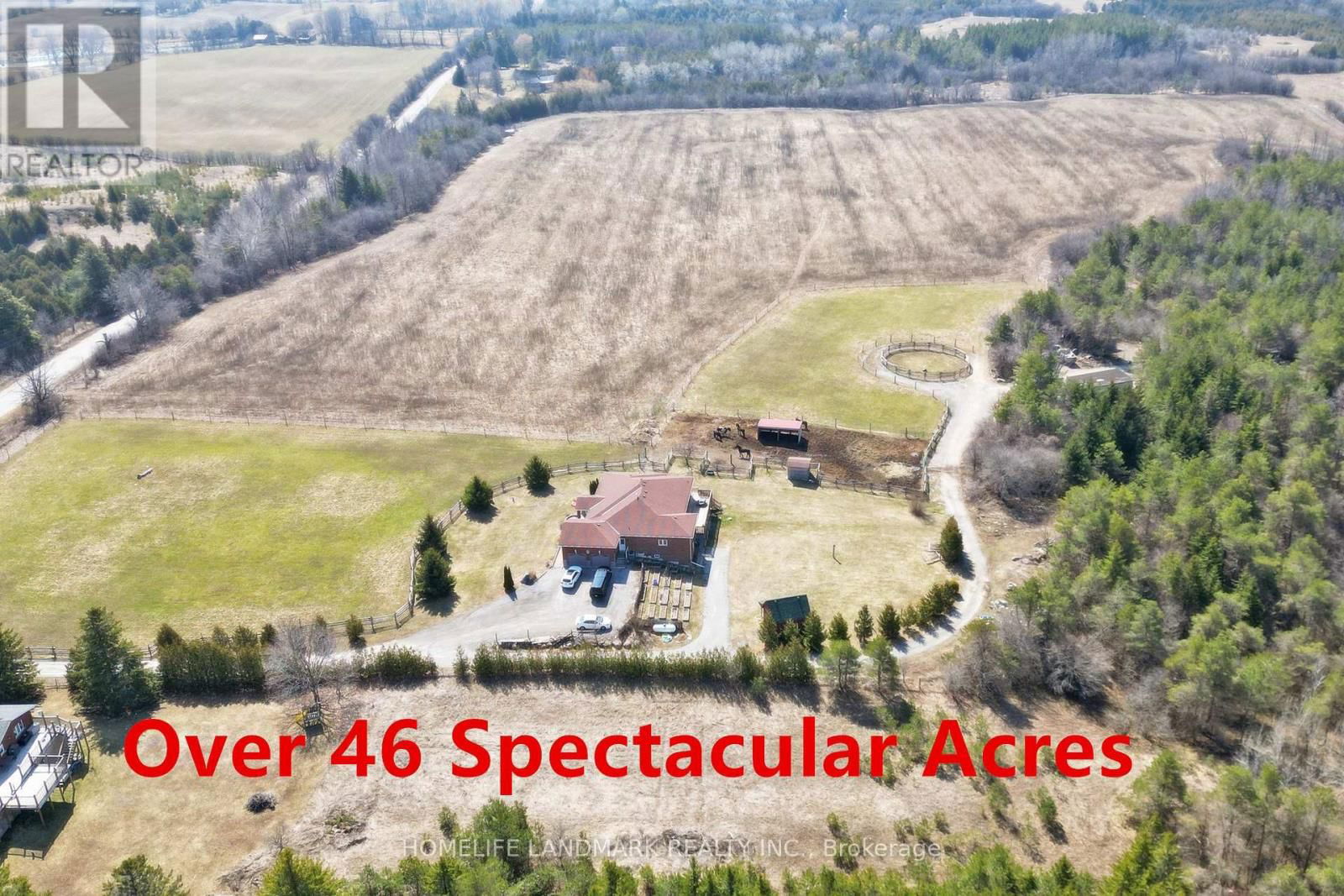 Primary Property View