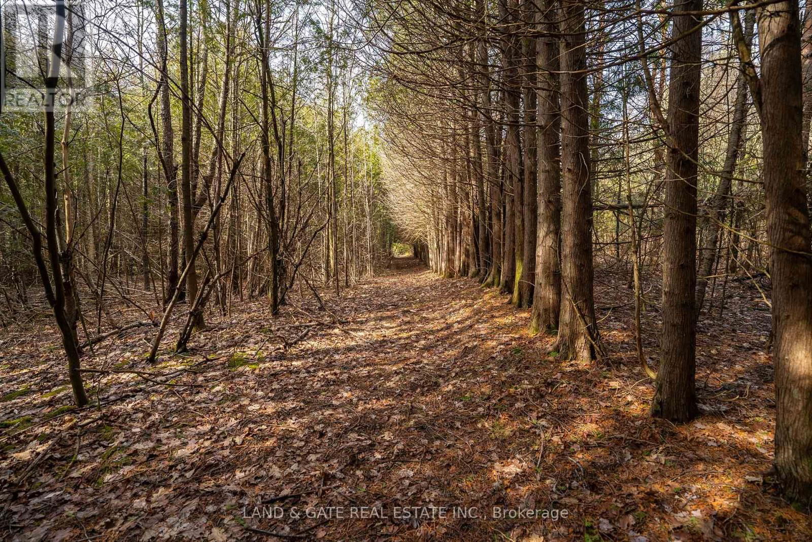9015 MOSPORT ROAD Image 4