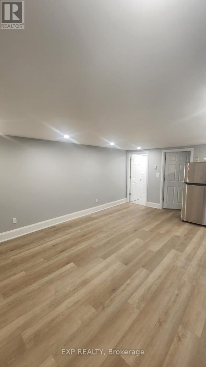 Lower - 789 PAPE AVENUE Image 4