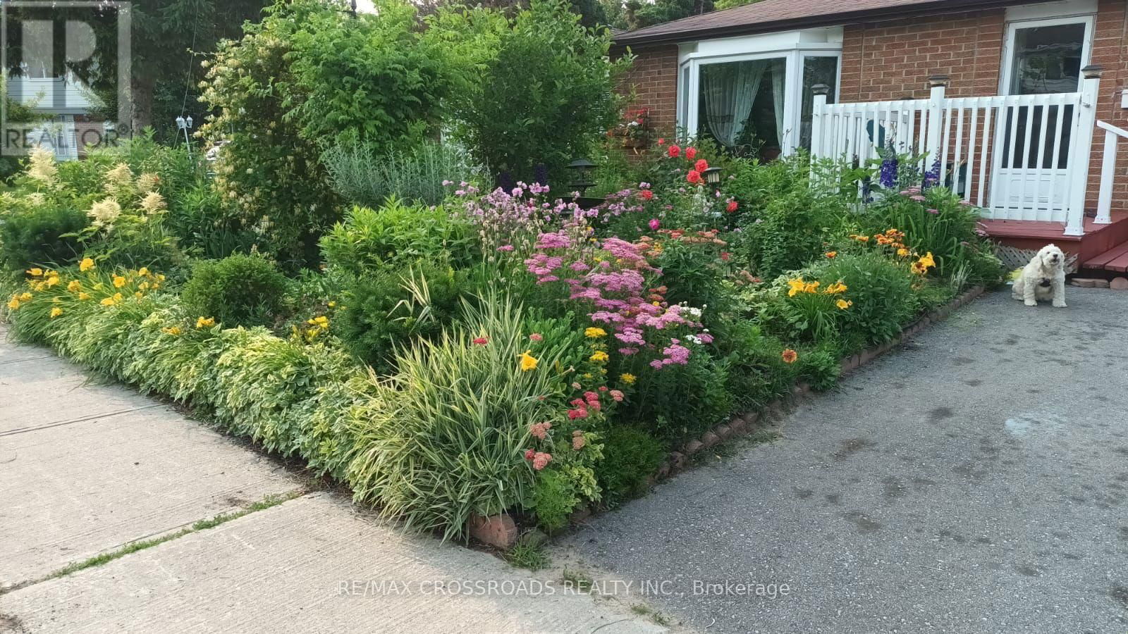 41 GEMSHAW CRESCENT Image 1