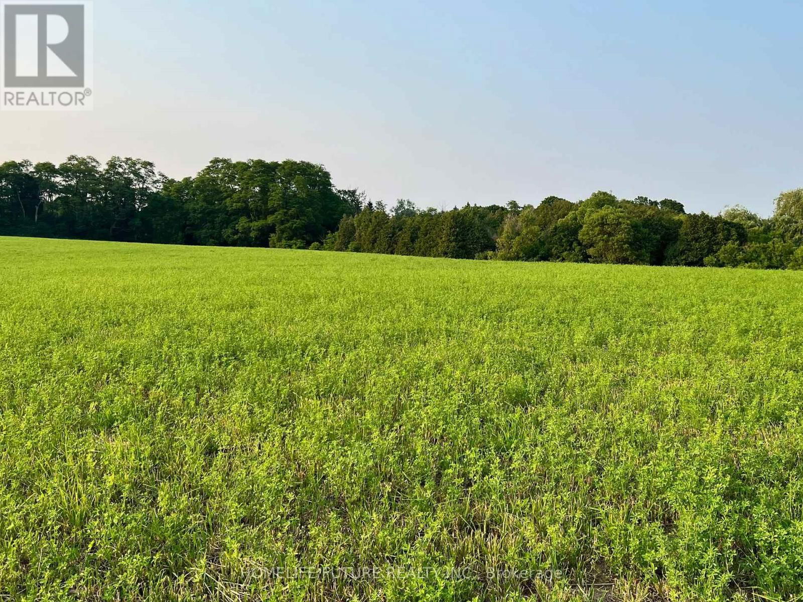 925 TOWNLINE ROAD NORTH Image 3