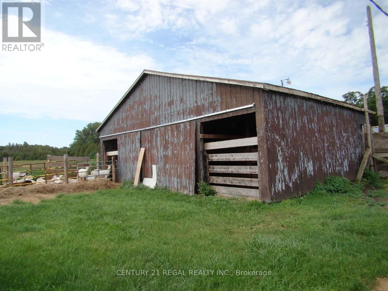 2910 HIGHWAY 7A Image 8