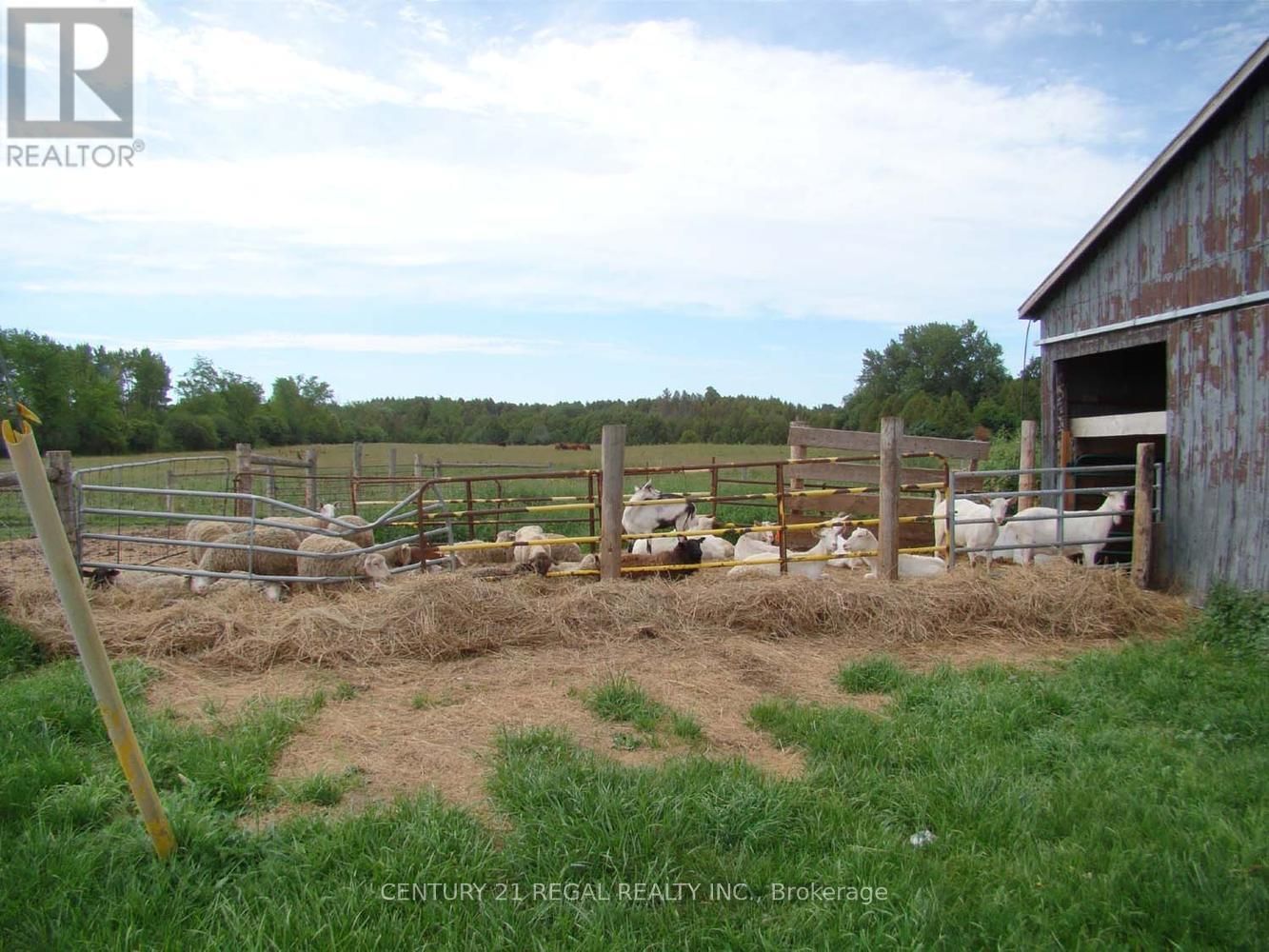 2910 HIGHWAY 7A Image 9