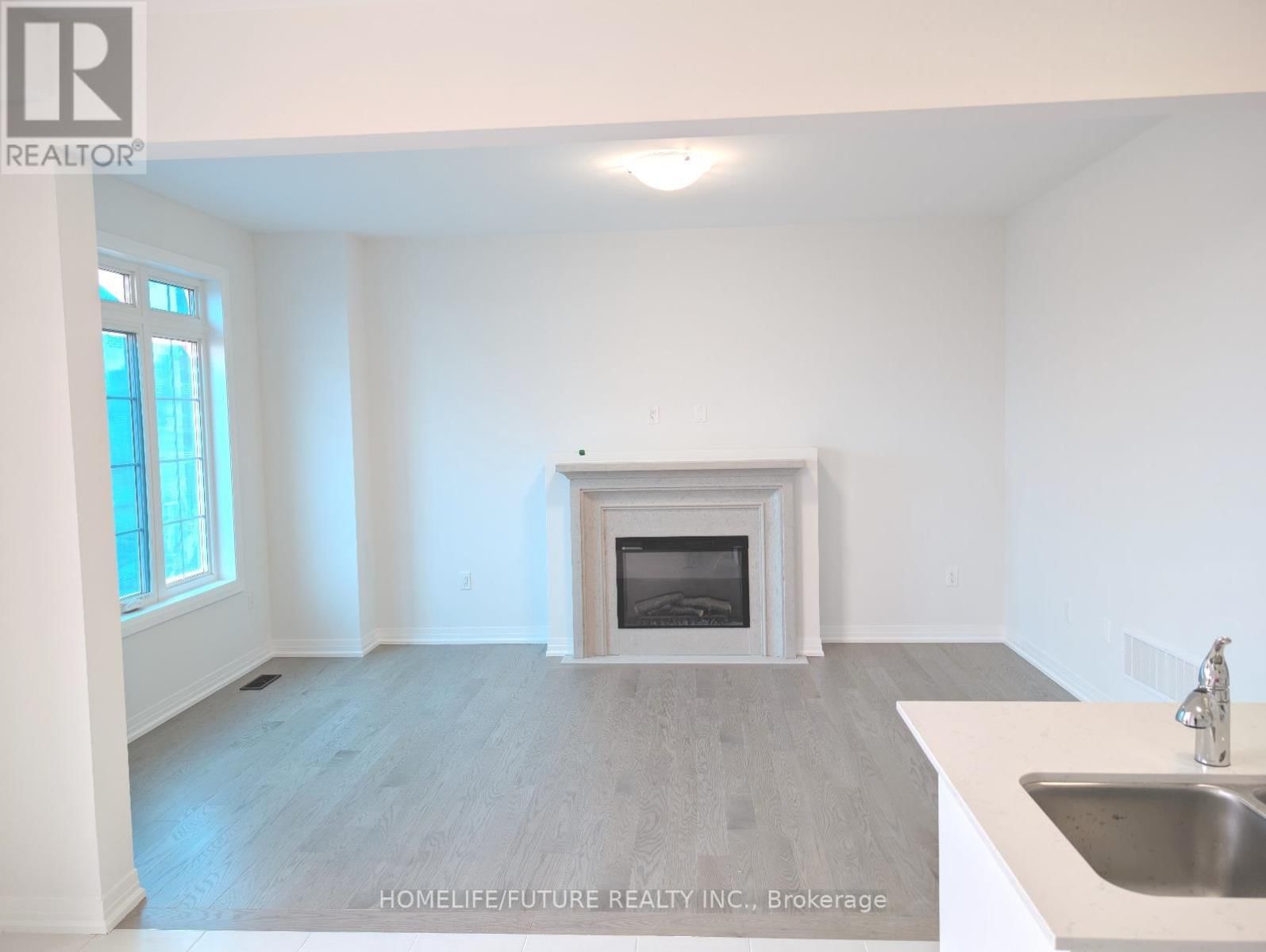 1123 ZIRCON MANOR Image 3