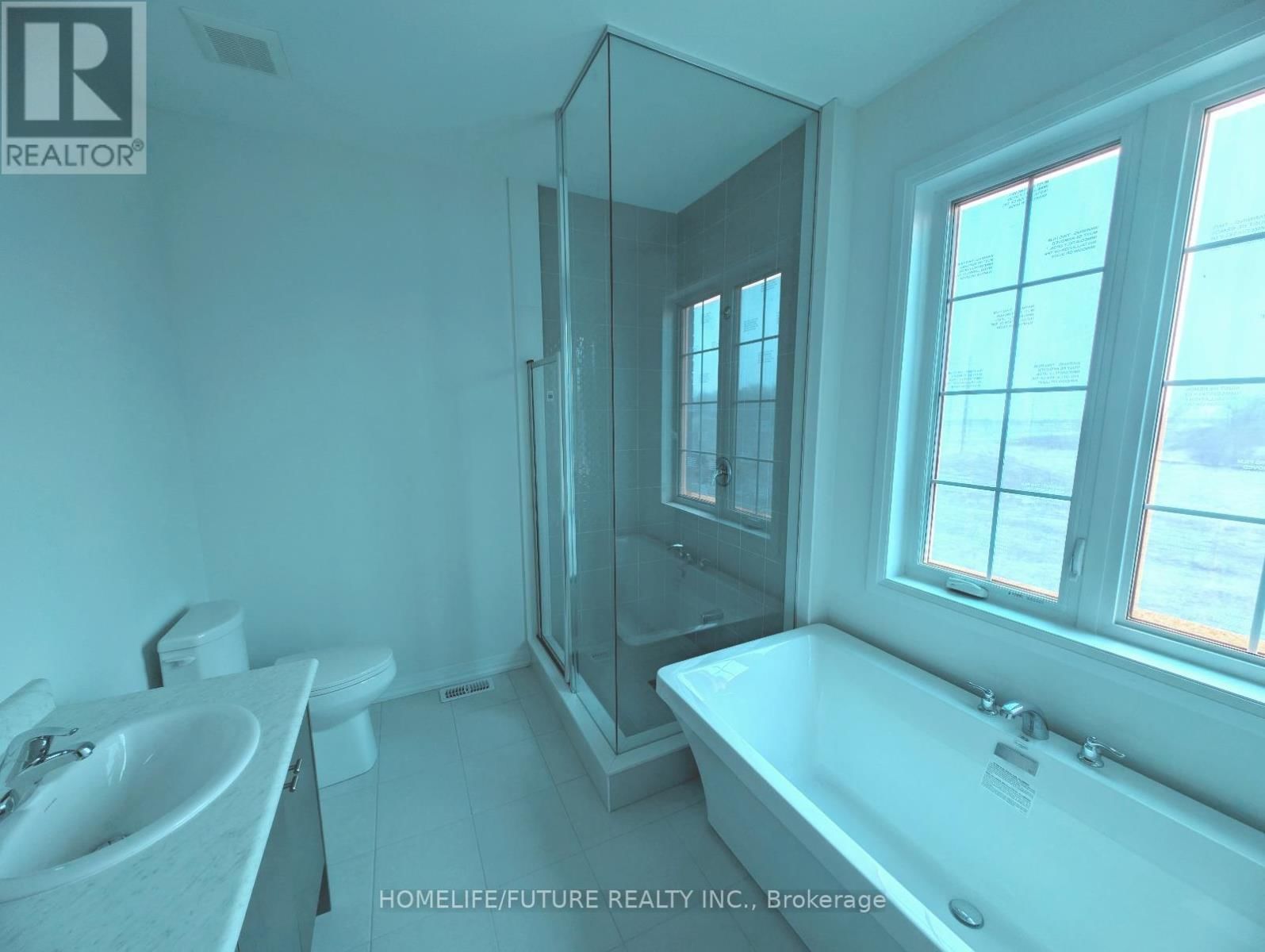 1123 ZIRCON MANOR Image 7