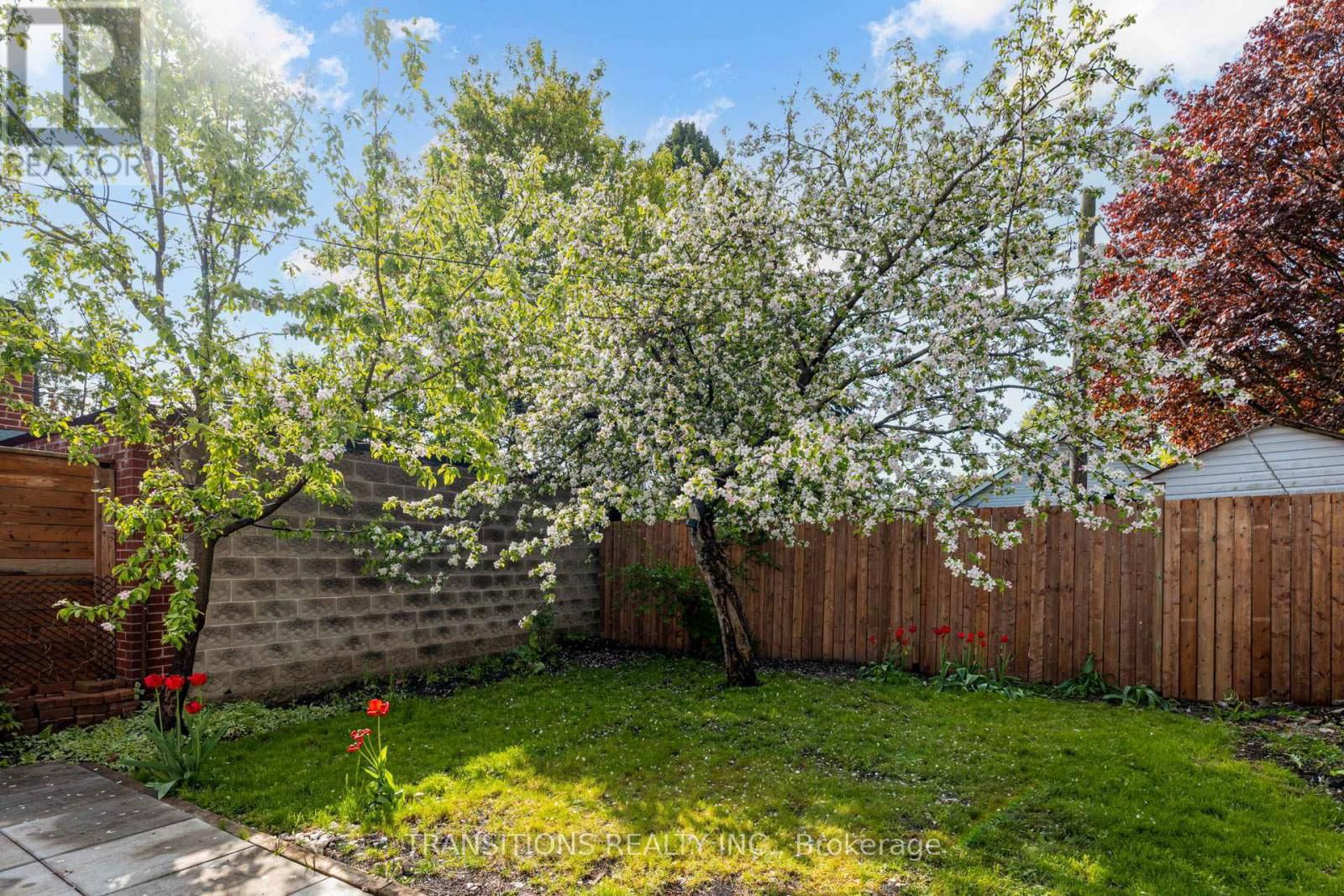 175 OLIVE AVENUE Image 17