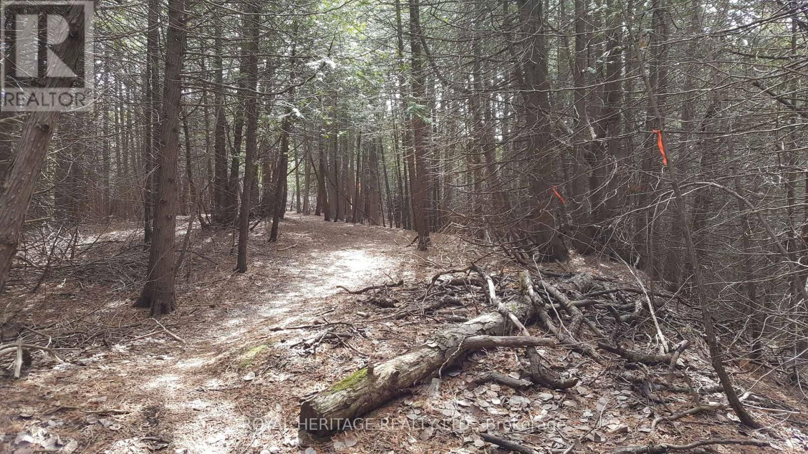 1855 STEVENSON ROAD NORTH Image 4
