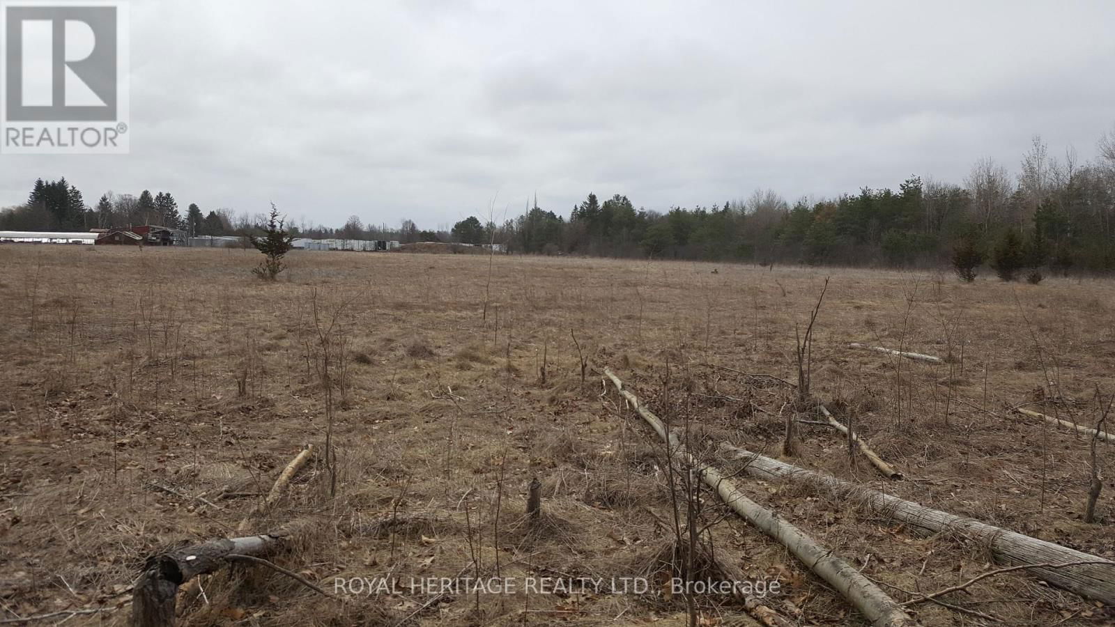 1855 STEVENSON ROAD NORTH Image 5
