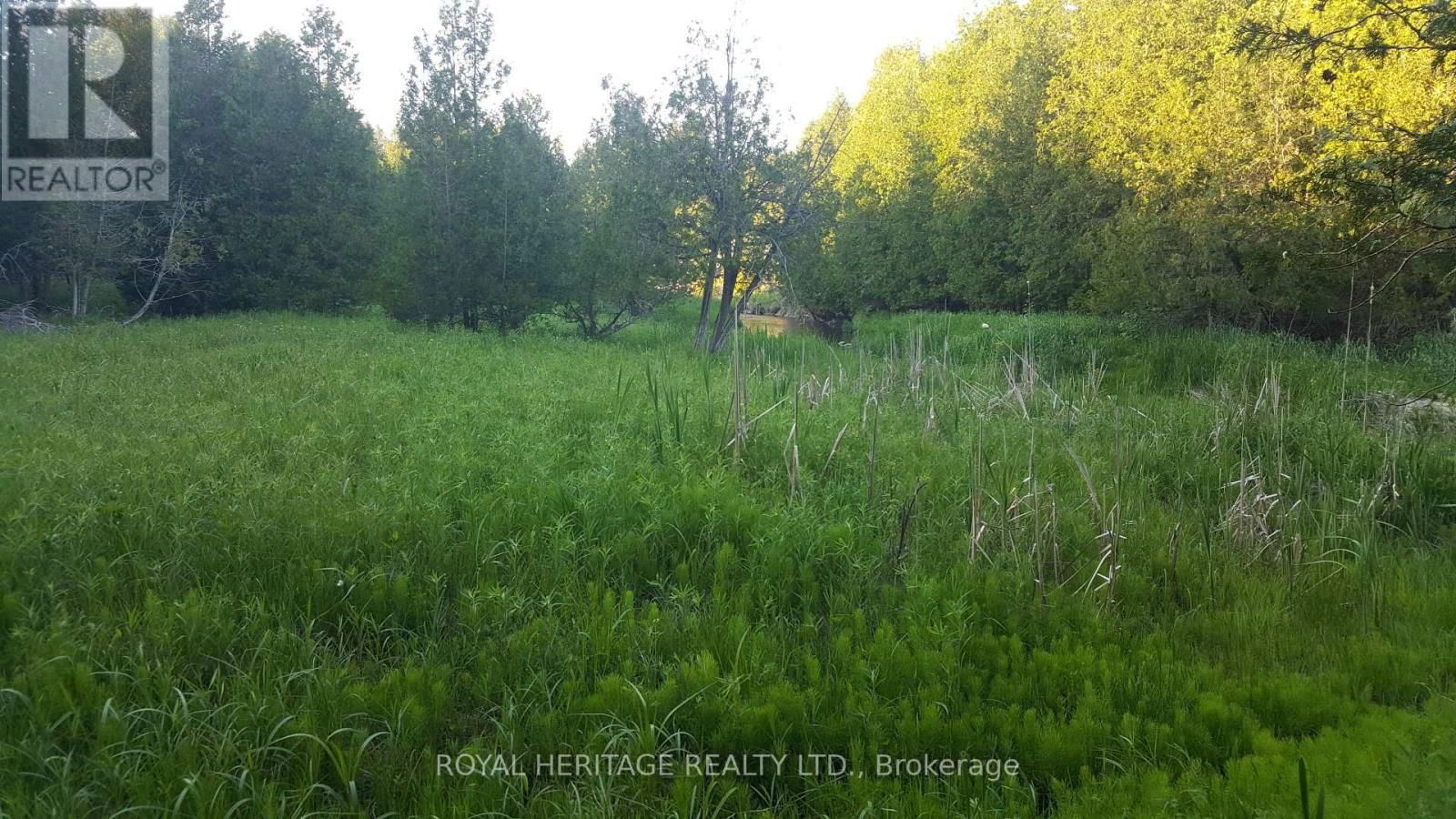 1855 STEVENSON ROAD NORTH Image 7