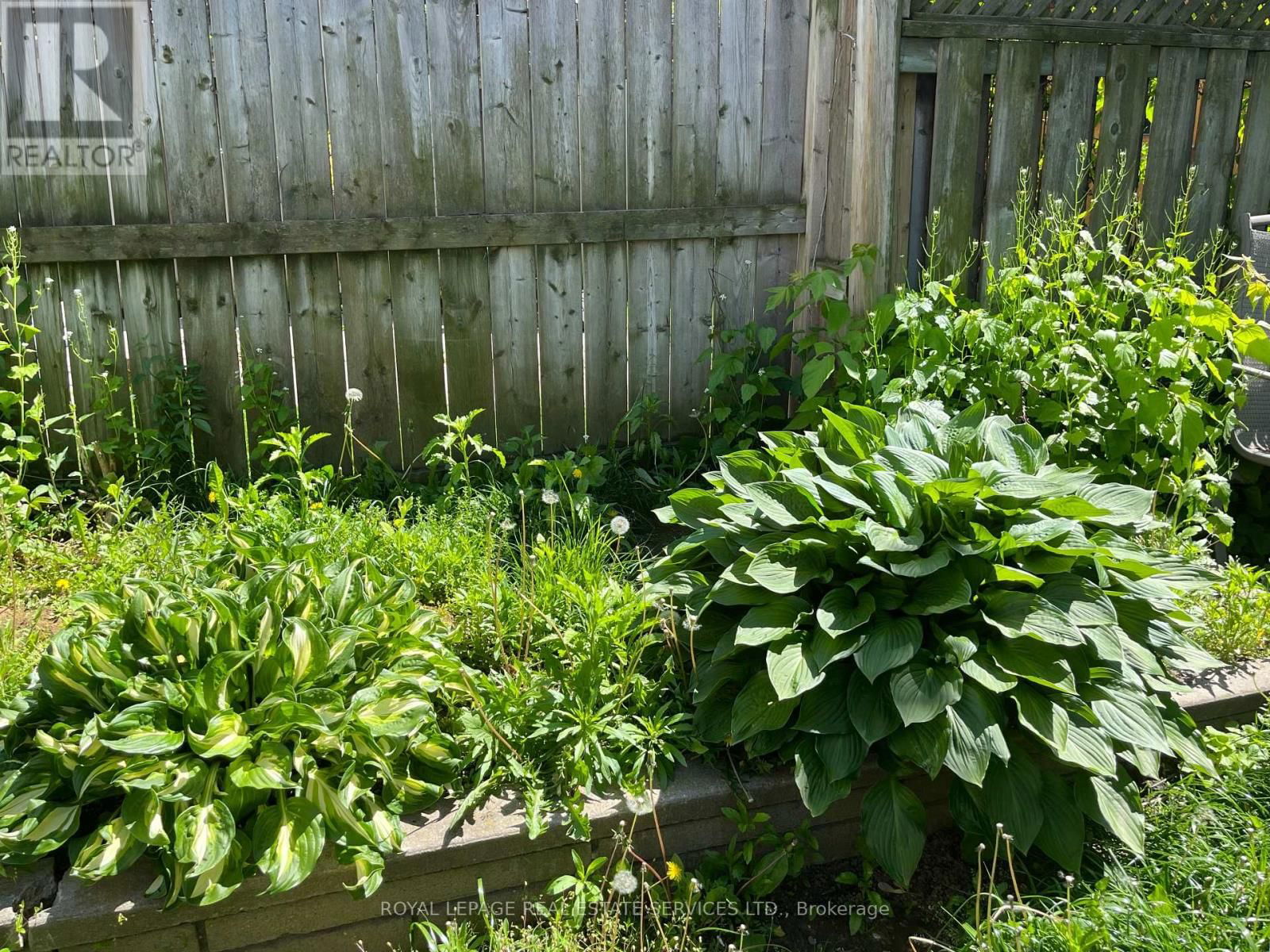 Main - 40 BONNIE BRAE BOULEVARD Image 14