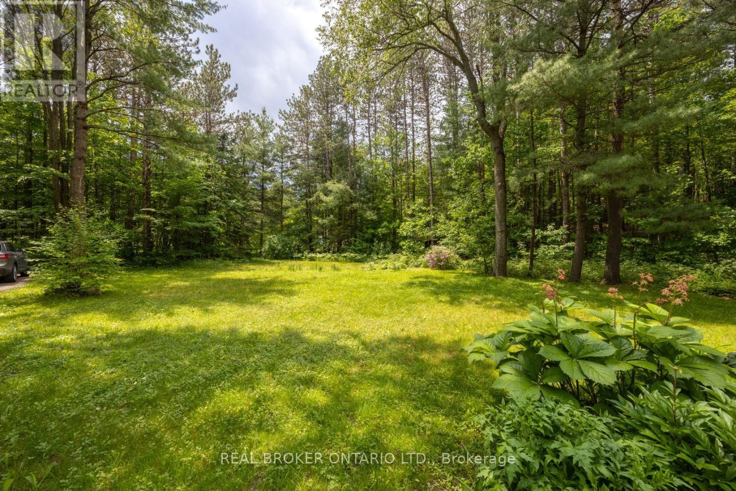 2154 CONCESSION RD 10 Image 39