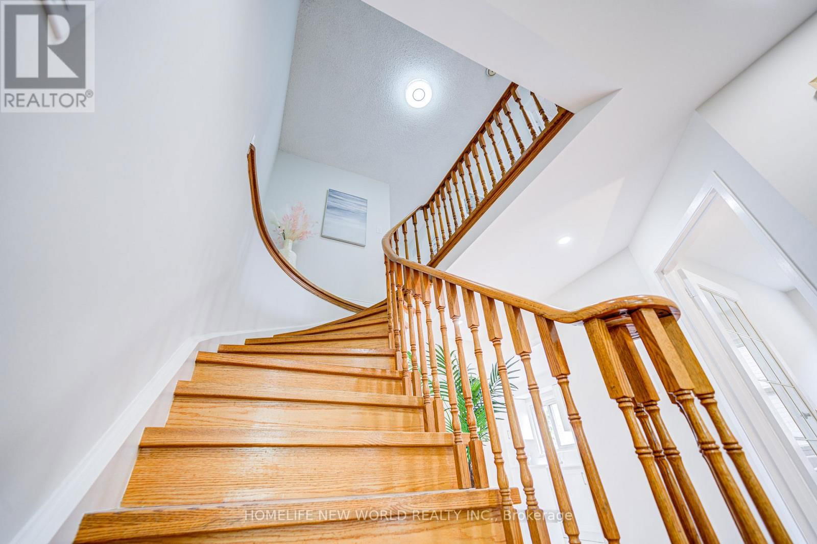 27 MASSIE STREET Image 6
