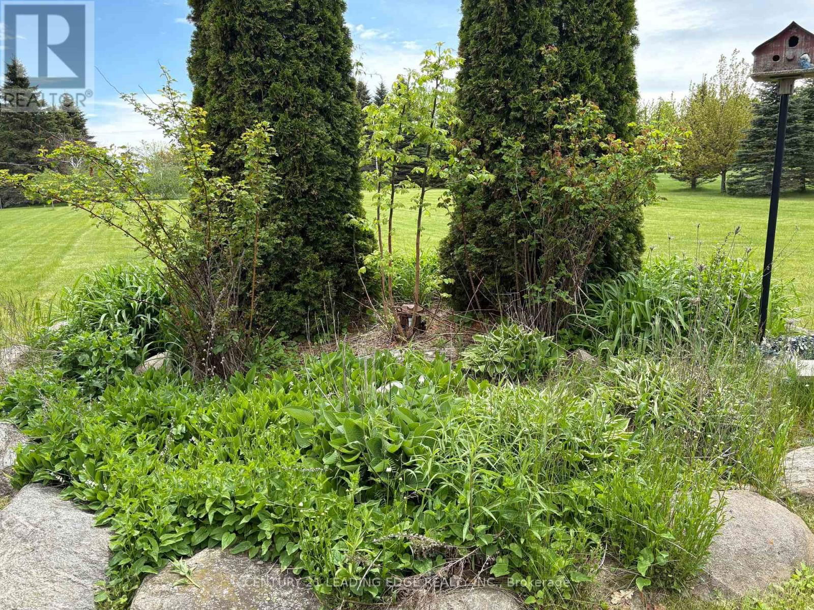 (Part 1) - 7 CLYDE COURT Image 11