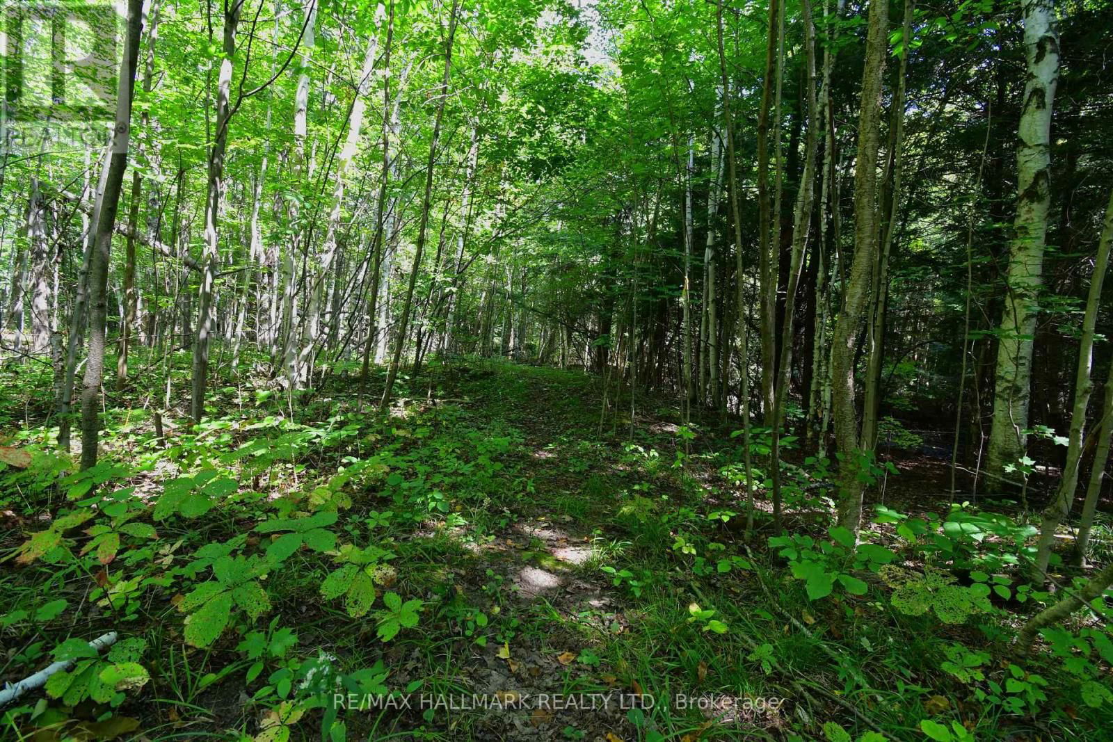 18555 HIGHWAY 12 Image 33