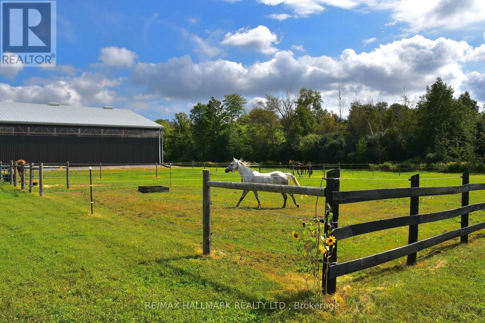 18555 HIGHWAY 12 Image 40