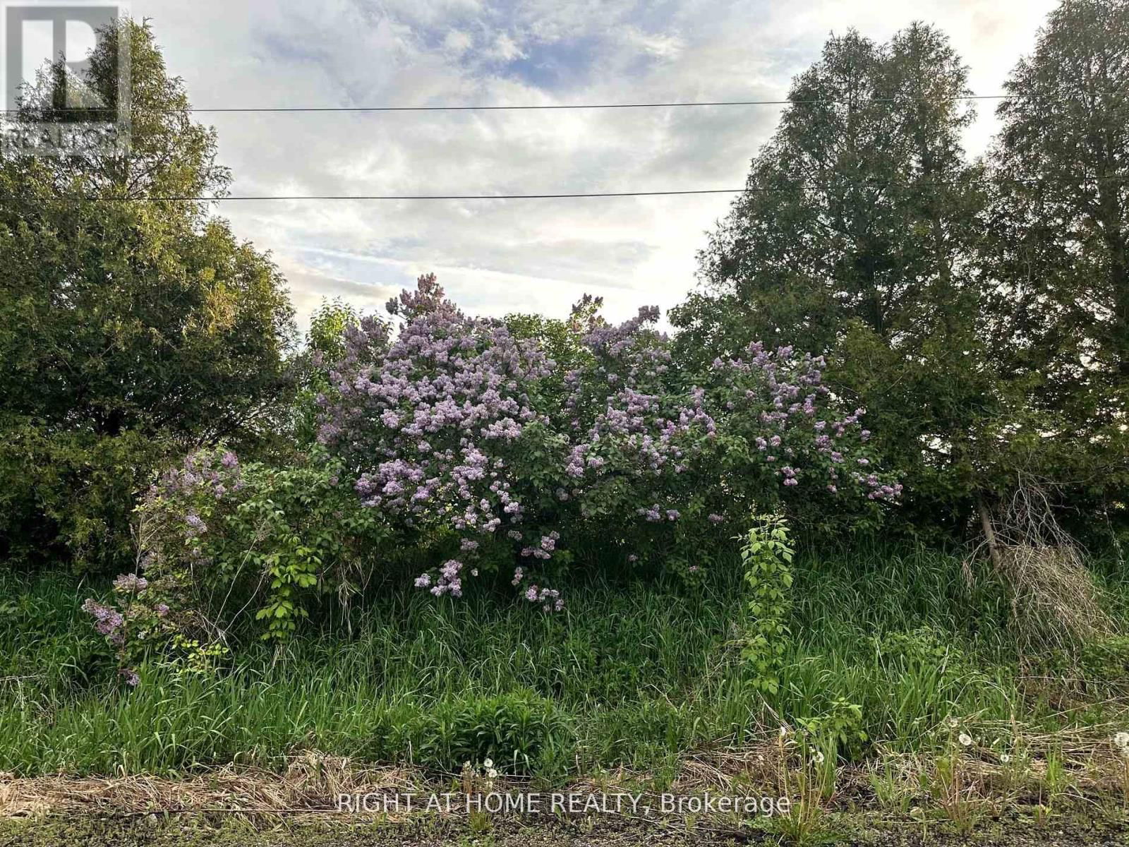 1756 TAUNTON ROAD Image 15