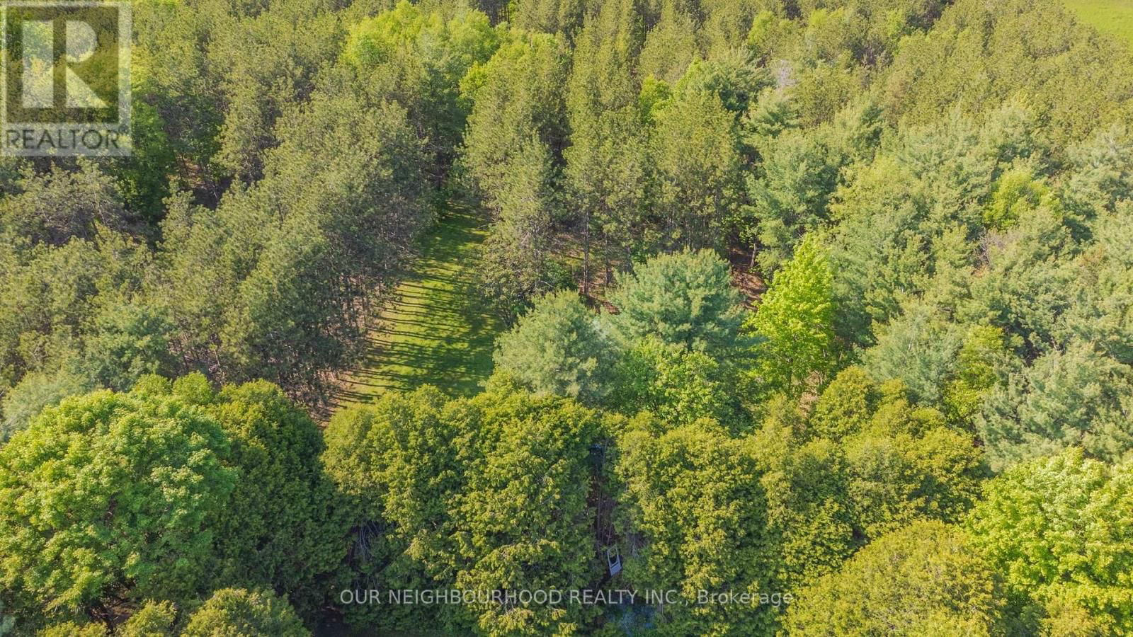 3830 CONCESSION 8 ROAD Image 45