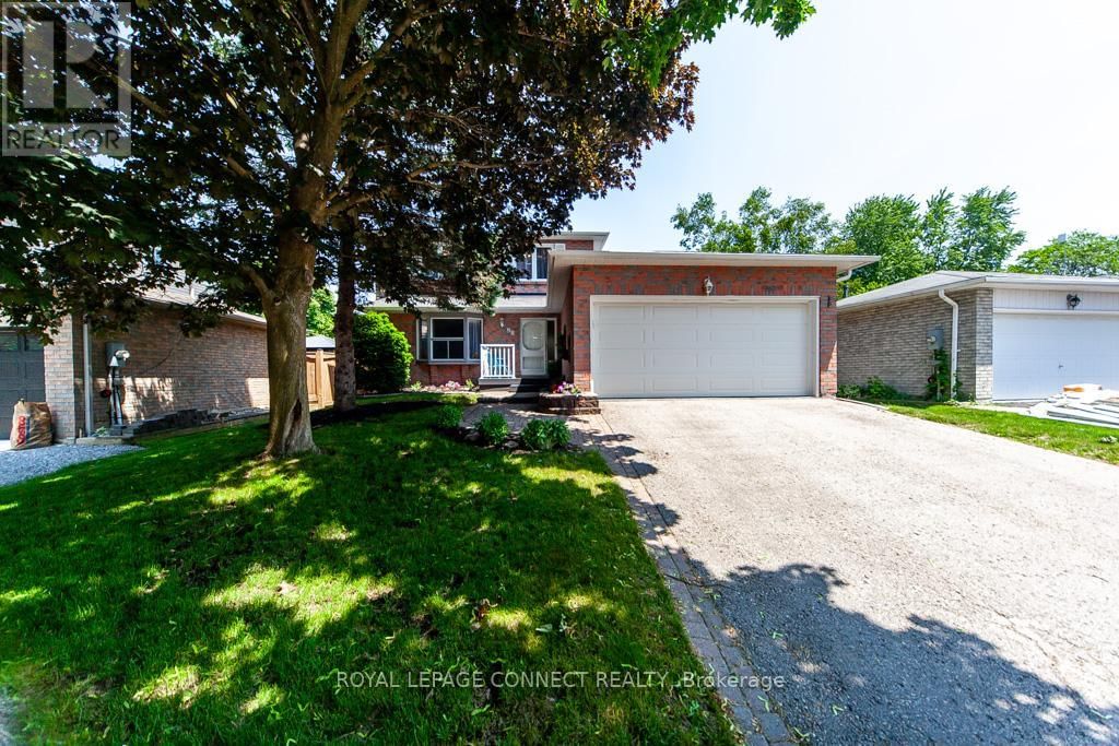 Primary Property View