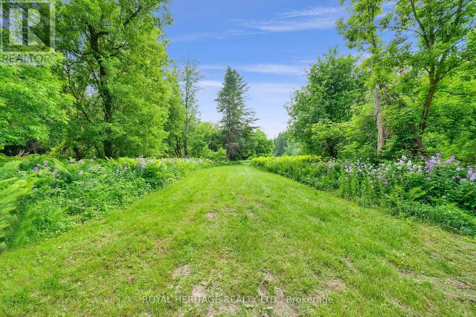 4585 CORONATION ROAD Image 12